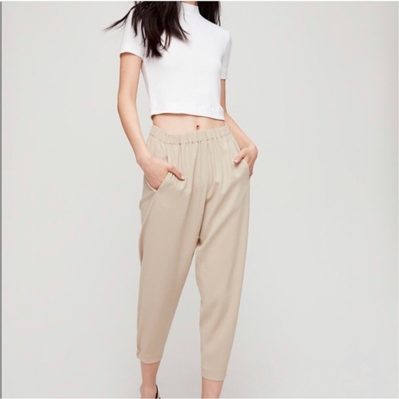 Aritzia babaton dexter pant -microchip color - Picture 2 of 4